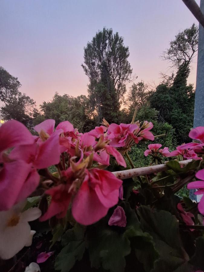 Villa Ella 奥赫里德 外观 照片